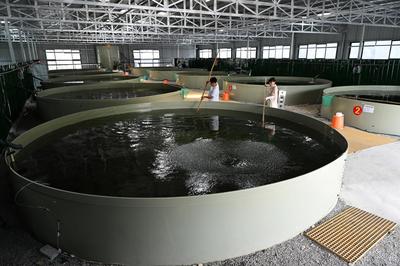 聽(tīng)兩山回響,看碧水石臺(tái)